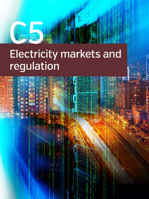 Regulatory incentives for capital investments in electricity systems