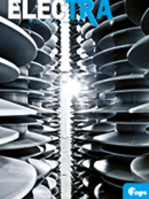 Final Report of the 2004 - 2007 International Enquiry on Reliability of High Voltage Equipment - “Part 1 - Summary and General Matters”