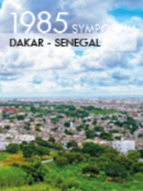 DAKAR: Electrical power systems in developing countries