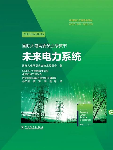 Electricity Supply Systems of the Future - Chinese edition