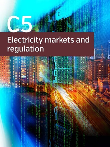 [557] Market design for large scale integration of intermittent renewable energy sources