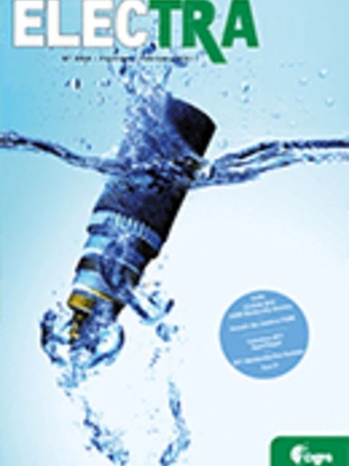 [ELT_254_8] Polymer Nanocomposites - Fundamentals and possible applications to Power Sectors