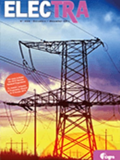 [ELT_259_5] Guide for the Assessment of Composite Insulators in the Laboratory after their Removal from Service