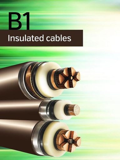 [912] Condition evaluation and lifetime strategy of HV cable systems