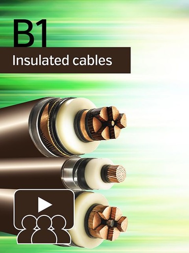 [WBN051] Installation of Submarine Power Cables